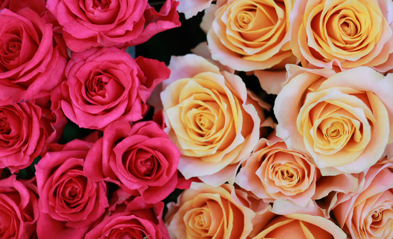 マルグリットのスライダー4